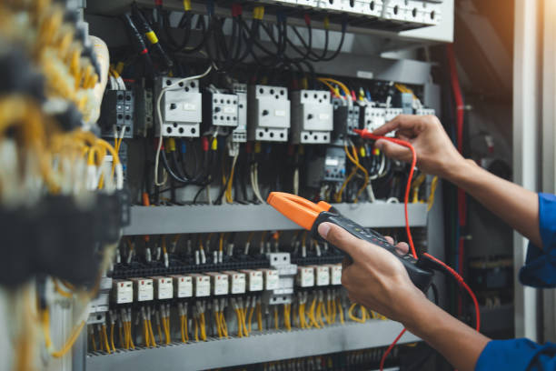 Best Electric Panel Repair  in Tornillo, TX